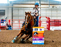 DogAndPony-Saturday-2026-JMrazPhotography-0138