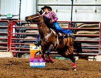 DogAndPony-Saturday-2026-JMrazPhotography-0163