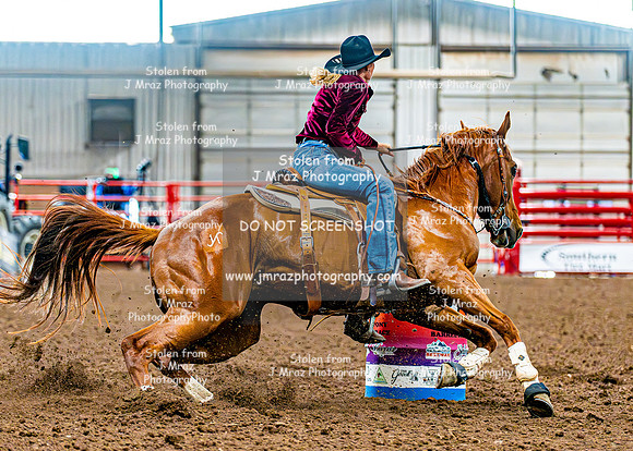 DogAndPony-Saturday-2026-JMrazPhotography-0215