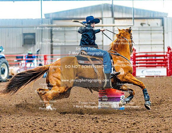 DogAndPony-Saturday-2026-JMrazPhotography-0294