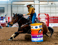 DogAndPony-Saturday-2026-JMrazPhotography-0317