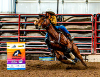 DogAndPony-Saturday-2026-JMrazPhotography-0330