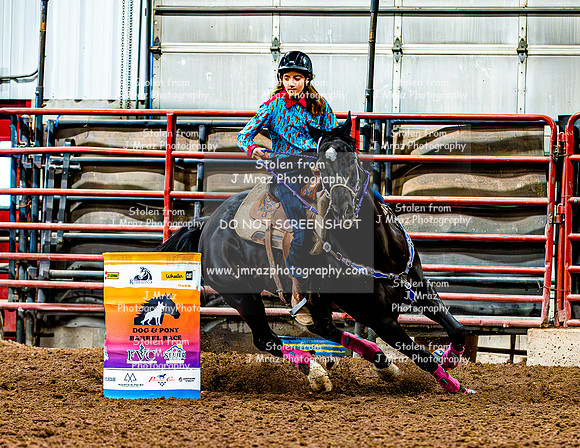 DogAndPony-Saturday-2026-JMrazPhotography-0346