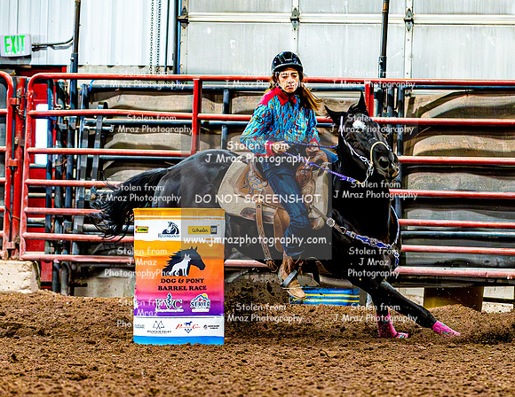 DogAndPony-Saturday-2026-JMrazPhotography-0345