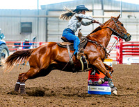 DogAndPony-Saturday-2026-JMrazPhotography-0381