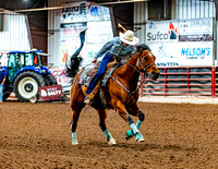 DogAndPony-Saturday-2026-JMrazPhotography-0390