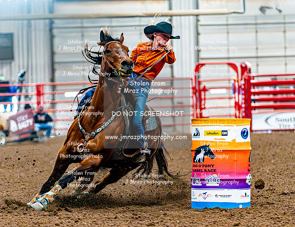 DogAndPony-Saturday-2026-JMrazPhotography-0440