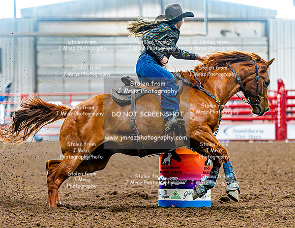 DogAndPony-Saturday-2026-JMrazPhotography-0515