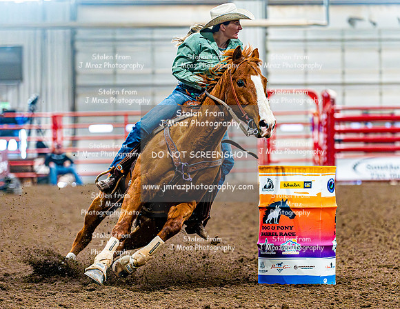 DogAndPony-Saturday-2026-JMrazPhotography-0546