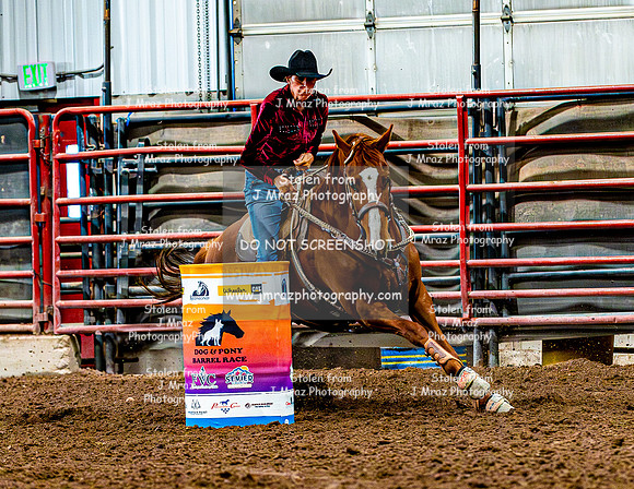 DogAndPony-Saturday-2026-JMrazPhotography-0736