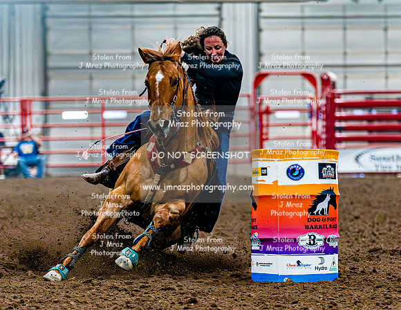 DogAndPony-Saturday-2026-JMrazPhotography-0755