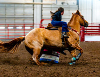 DogAndPony-Saturday-2026-JMrazPhotography-0762