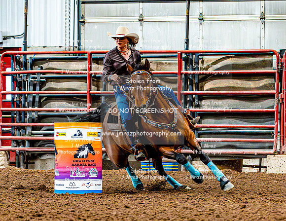 DogAndPony-Saturday-2026-JMrazPhotography-0780