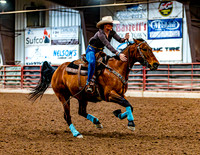 DogAndPony-Saturday-2026-JMrazPhotography-0785