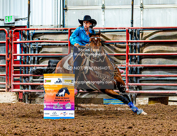 DogAndPony-Saturday-2026-JMrazPhotography-0815