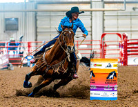 DogAndPony-Saturday-2026-JMrazPhotography-0818