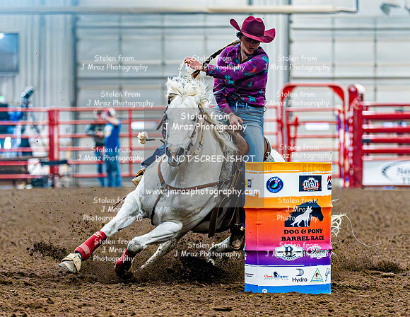 DogAndPony-Saturday-2026-JMrazPhotography-0950