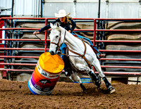 DogAndPony-Saturday-2026-JMrazPhotography-1007
