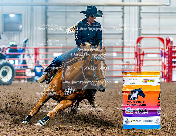 DogAndPony-Saturday-2026-JMrazPhotography-1037