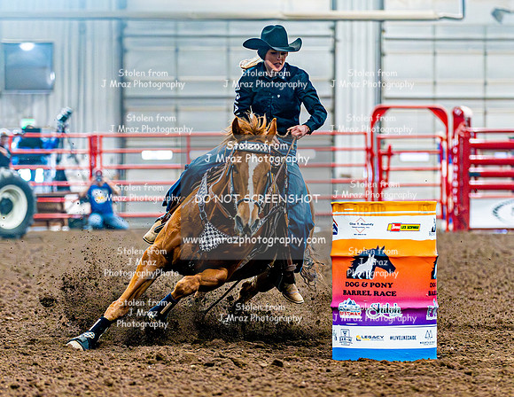 DogAndPony-Saturday-2026-JMrazPhotography-1036