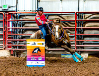 DogAndPony-Saturday-2026-JMrazPhotography-1044