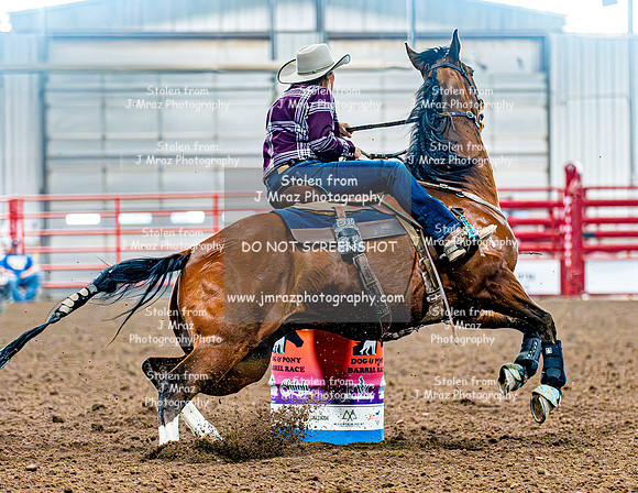DogAndPony-Saturday-2026-JMrazPhotography-1081