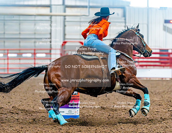 DogAndPony-Saturday-2026-JMrazPhotography-1094