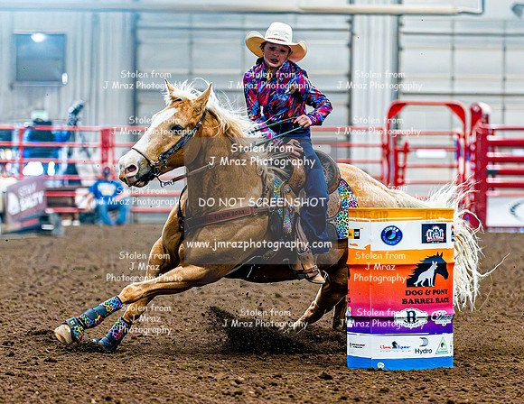 DogAndPony-Saturday-2026-JMrazPhotography-1145