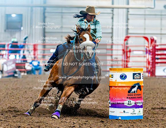 DogAndPony-Saturday-2026-JMrazPhotography-1156