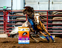 DogAndPony-Saturday-2026-JMrazPhotography-1177