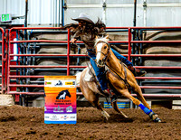 DogAndPony-Saturday-2026-JMrazPhotography-1178