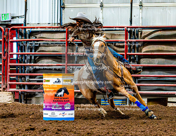 DogAndPony-Saturday-2026-JMrazPhotography-1178
