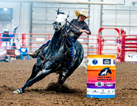 DogAndPony-Saturday-2026-JMrazPhotography-1182