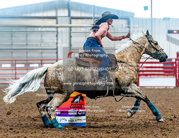 DogAndPony-Saturday-2026-JMrazPhotography-1230