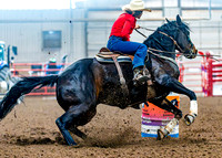 DogAndPony-Saturday-2026-JMrazPhotography-1250