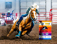 DogAndPony-Saturday-2026-JMrazPhotography-1318