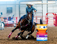 DogAndPony-Saturday-2026-JMrazPhotography-1367