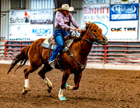 DogAndPony-Saturday-2026-JMrazPhotography-1439