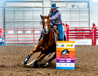 DogAndPony-Saturday-2026-JMrazPhotography-1801