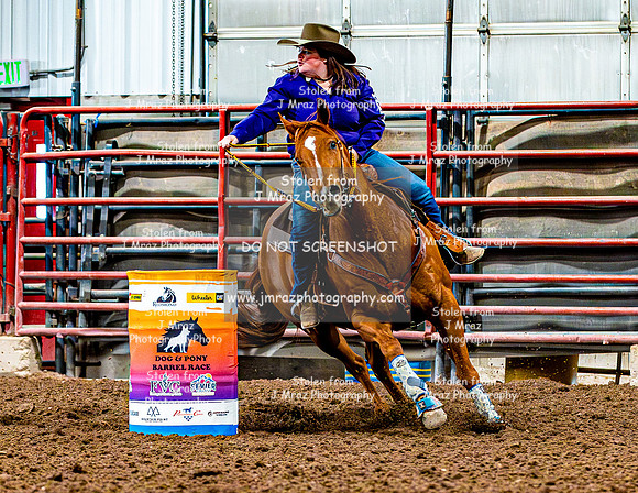 DogAndPony-Saturday-2026-JMrazPhotography-1816