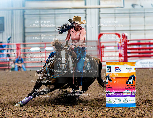 DogAndPony-Saturday-2026-JMrazPhotography-1901