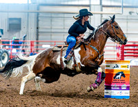 DogAndPony-Saturday-2026-JMrazPhotography-1963