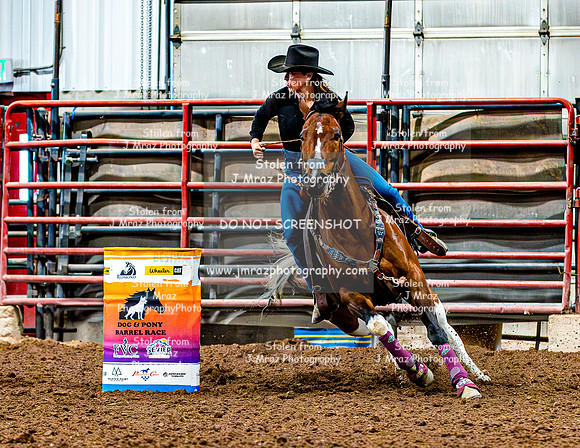 DogAndPony-Saturday-2026-JMrazPhotography-1970