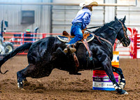 DogAndPony-Saturday-2026-JMrazPhotography-2239