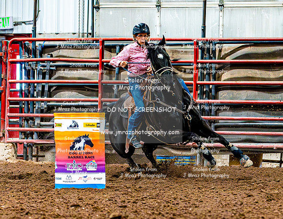 DogAndPony-Saturday-2026-JMrazPhotography-2291