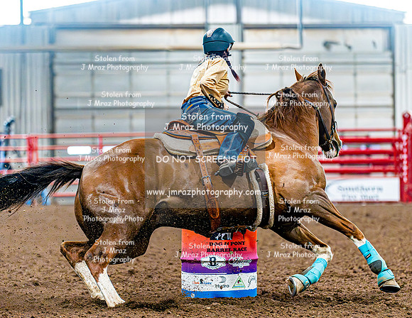 DogAndPony-Saturday-2026-JMrazPhotography-2284