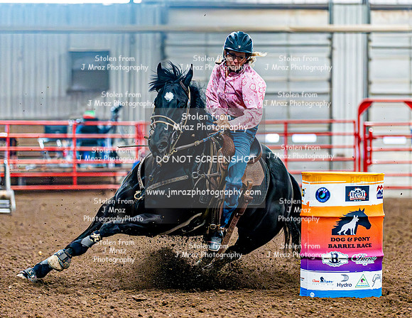 DogAndPony-Saturday-2026-JMrazPhotography-2294