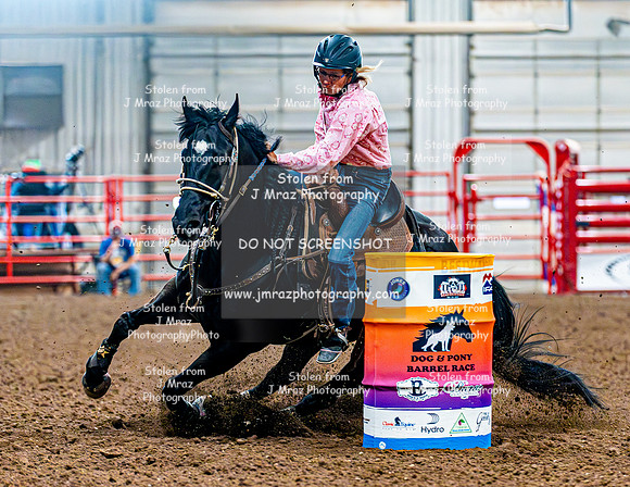 DogAndPony-Saturday-2026-JMrazPhotography-2293