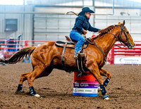 DogAndPony-Saturday-2026-JMrazPhotography-2373