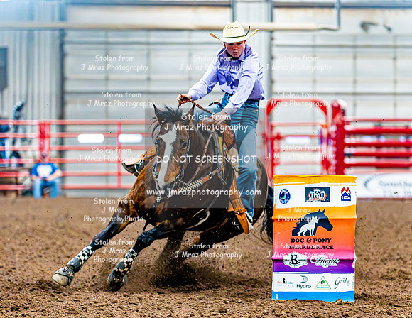 DogAndPony-Saturday-2026-JMrazPhotography-2577